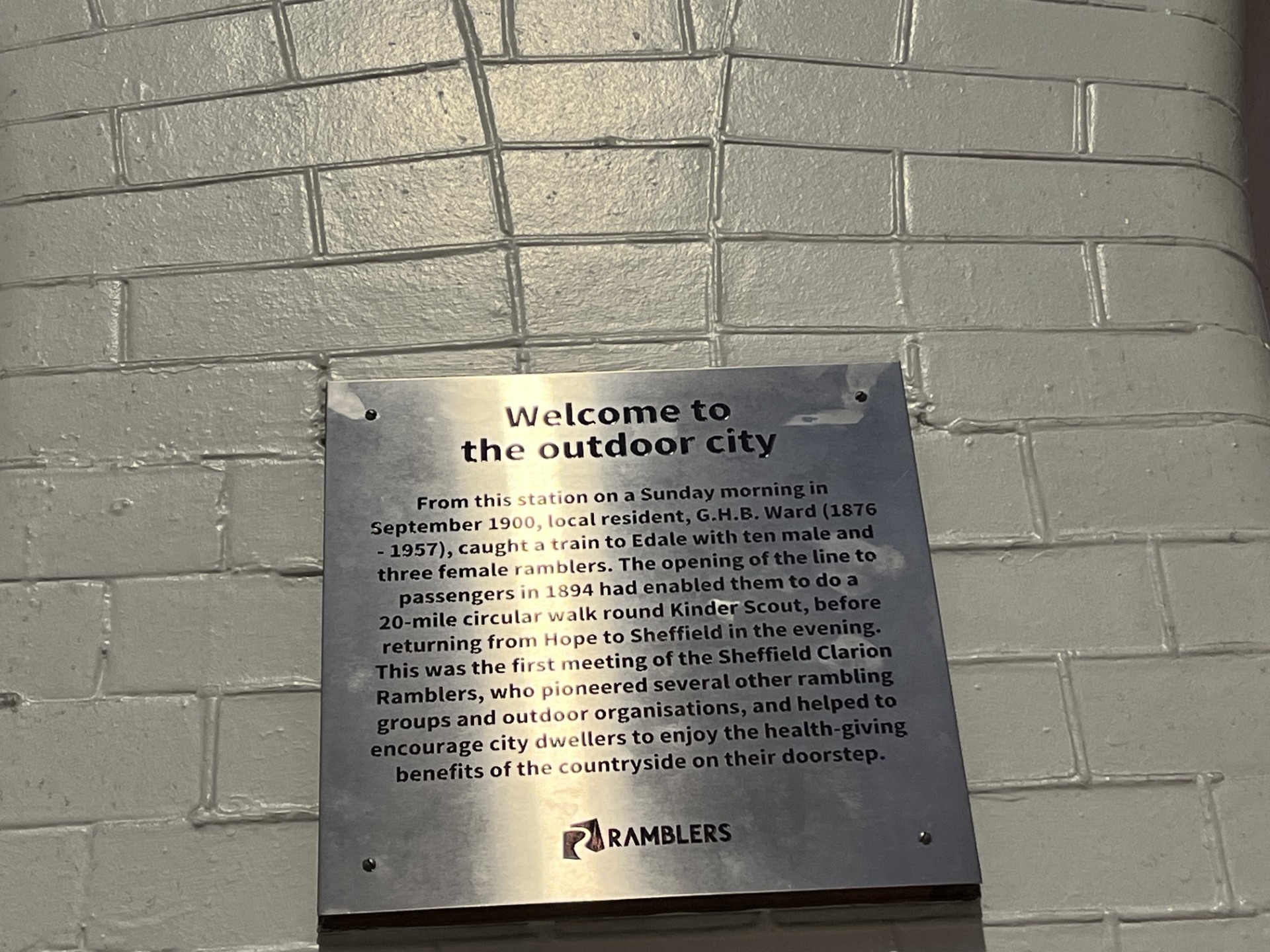 plaque